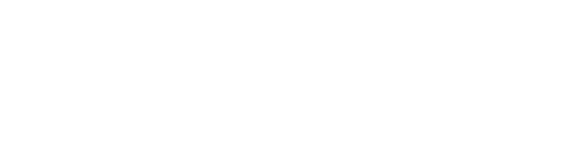 Tone Master PRO logo from Fender Magic City Tahiti